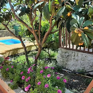  Hébergement de vacances Carrubo - Giardino In